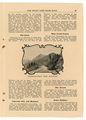 Click to see big picture (1680x2340 pixels; 774 KB)