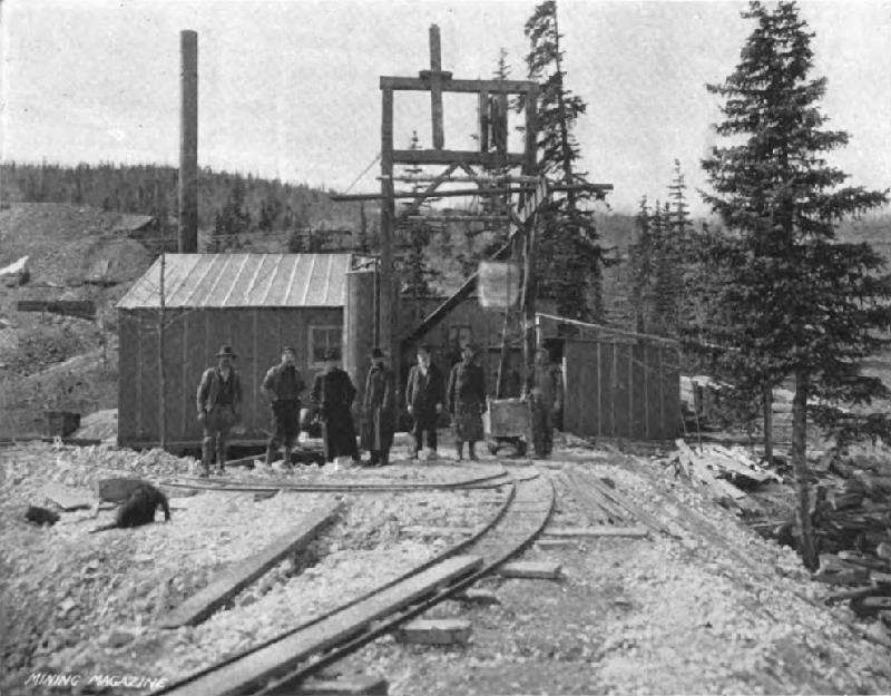 Fig. 2. The W. H. P. Mine. The Forest Queen, a New Producer, in the Middle Background.