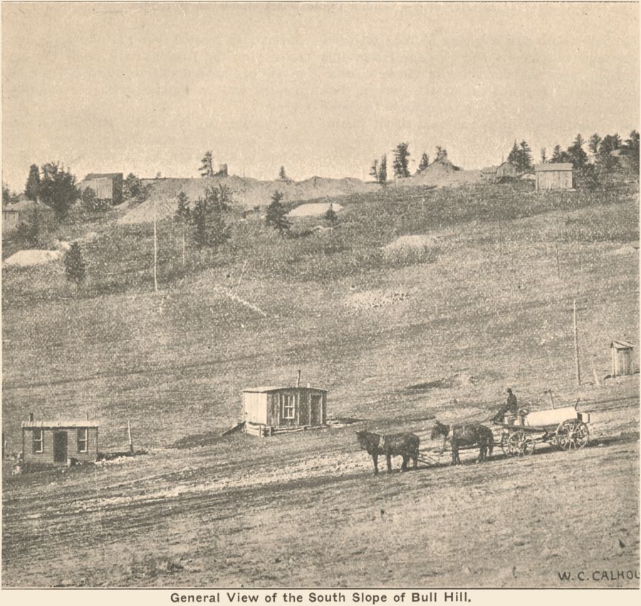 General View of the South Slope of Bull hill.