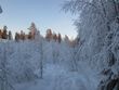Click to see big picture (900x675 pixels; 104 KB)