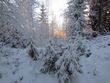 Click to see big picture (900x675 pixels; 131 KB)