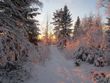Click to see big picture (900x675 pixels; 139 KB)