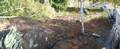 Click to see big picture (2015x815 pixels; 305 KB)