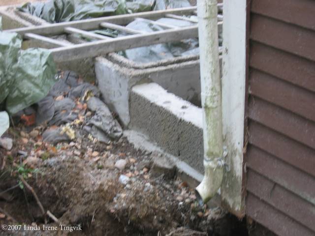 Click to see next picture