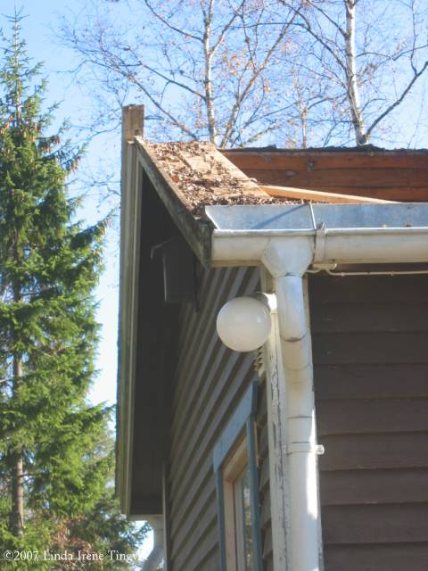 Click to see next picture