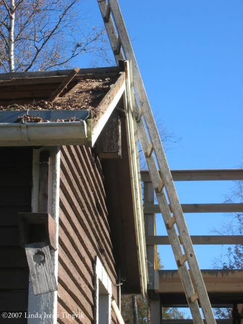 Click to see next picture