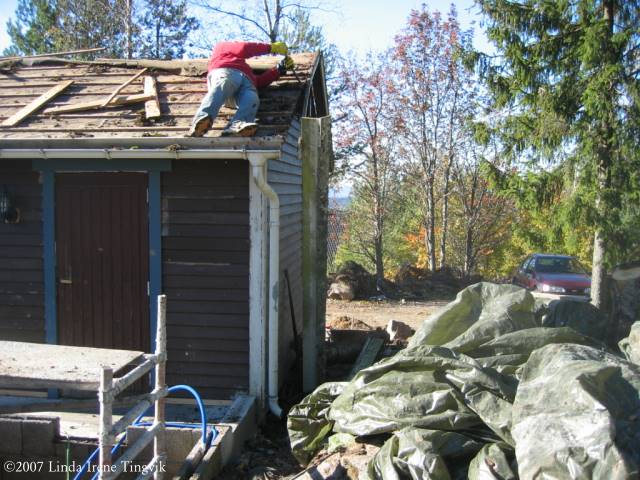 Click to see next picture