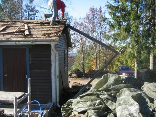 Click to see next picture
