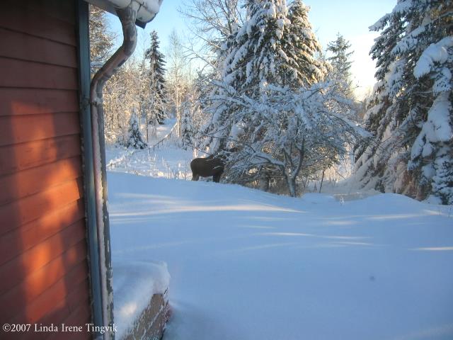 Click to see big picture (640x480 pixels; 56 KB)