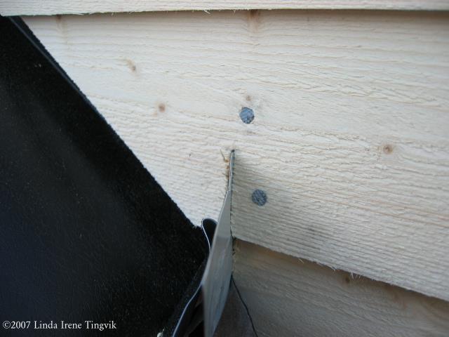 Click to see big picture (640x480 pixels; 39 KB)