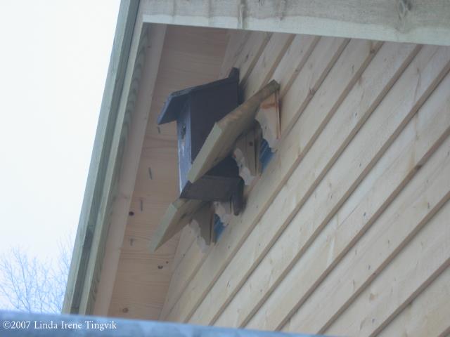 Click to see big picture (640x480 pixels; 32 KB)